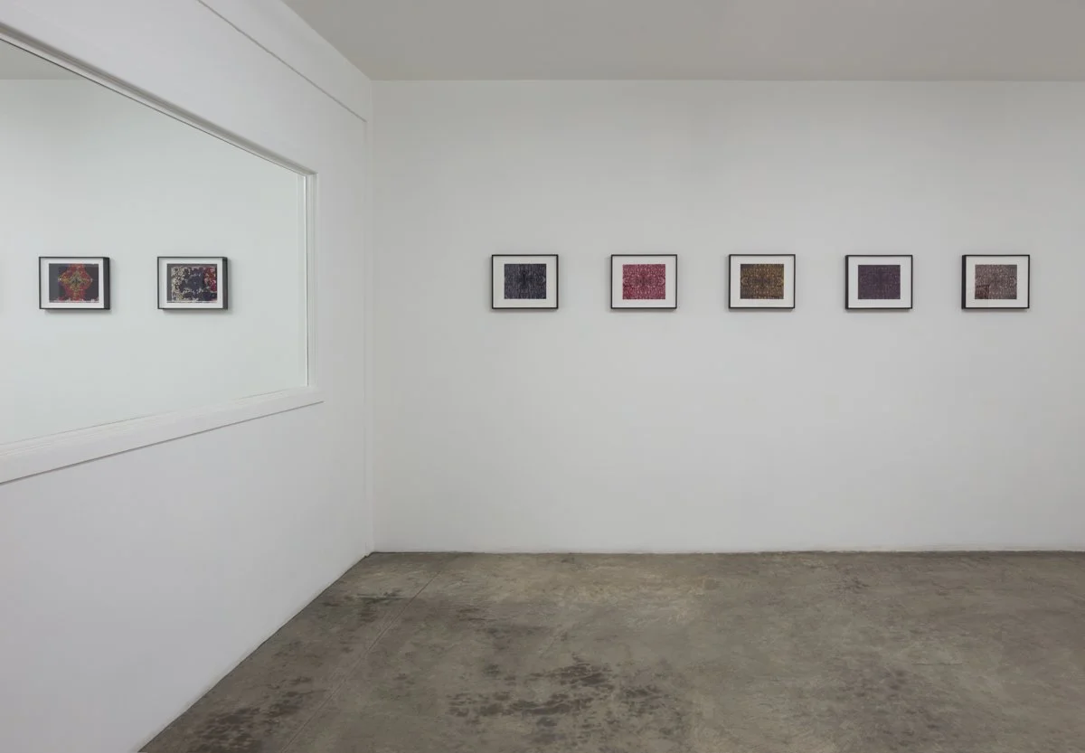  Poemfield  Installation View The Box, 2014  Photo: Fredrik Nilsen 