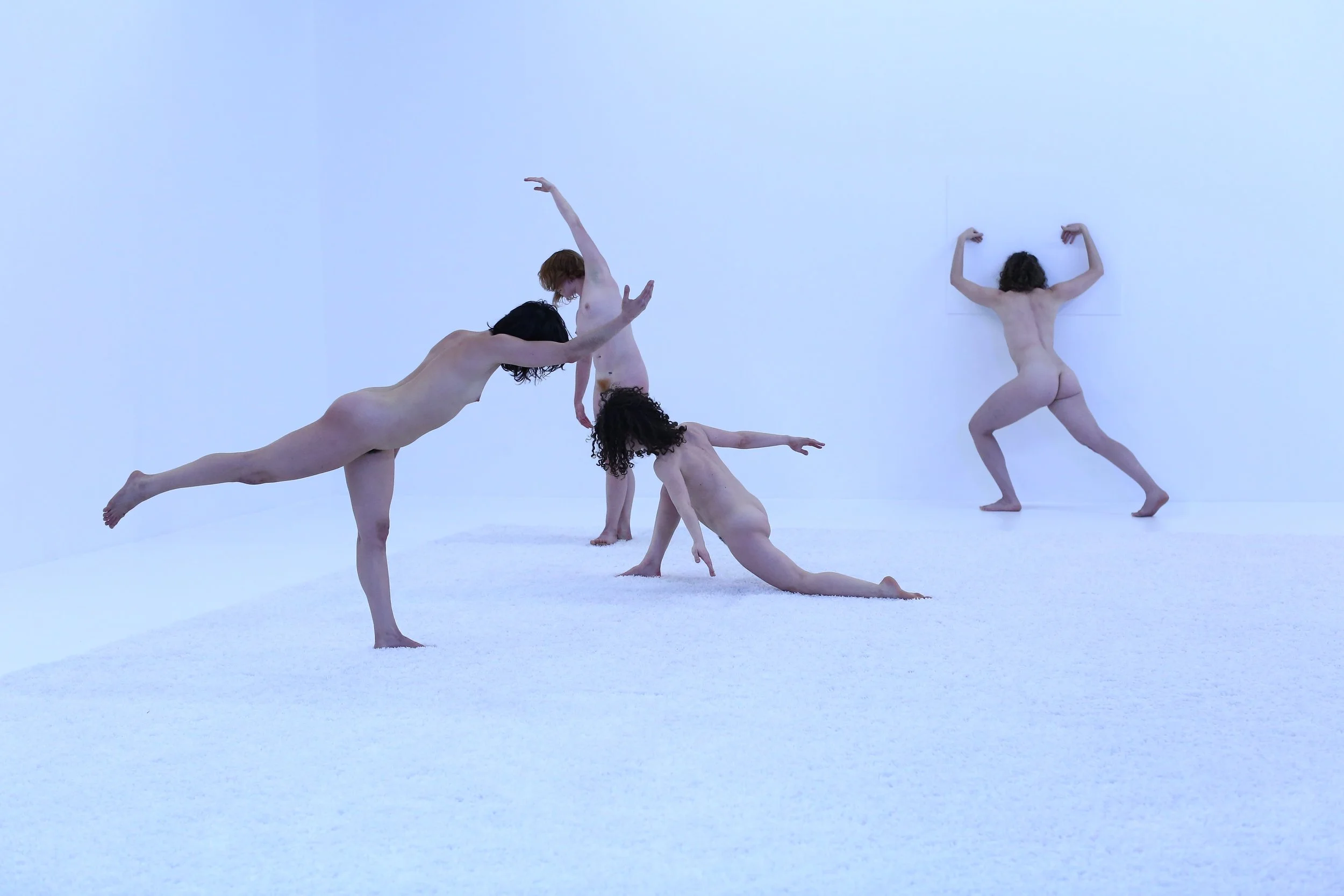   Forgetful Snow , 2014 The Kitchen, NYC  Photo: Paula Court 