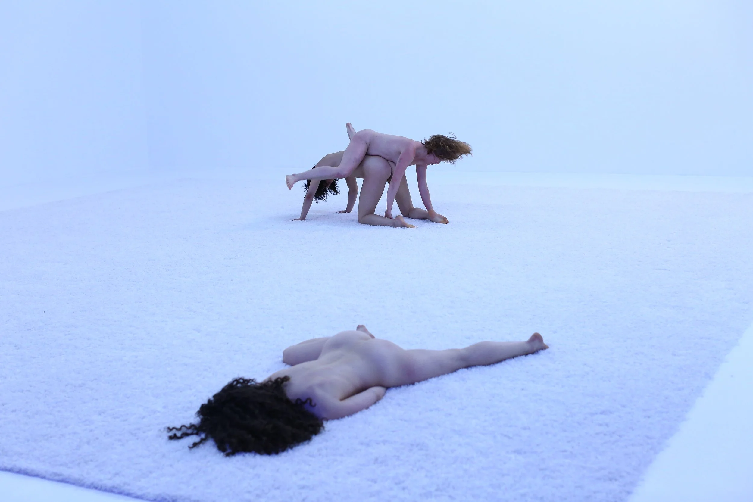   Forgetful Snow , 2014 The Kitchen, NYC  Photo: Paula Court 