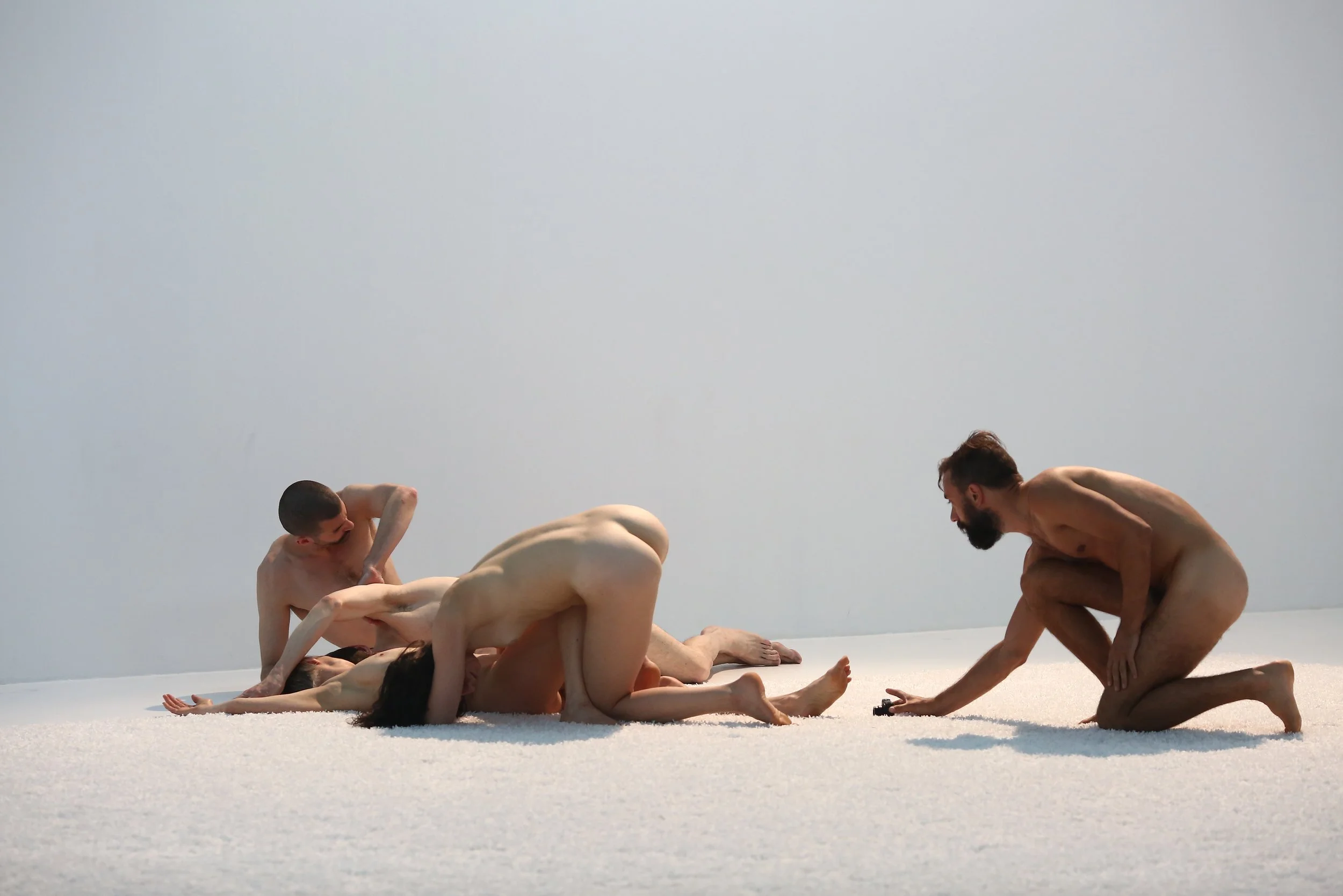   Forgetful Snow , 2014 The Kitchen, NYC  Photo: Paula Court 