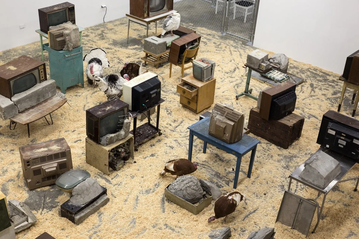   Endogen Depression  Installation View The Box, 2013  Photo: Fredrik Nilsen 