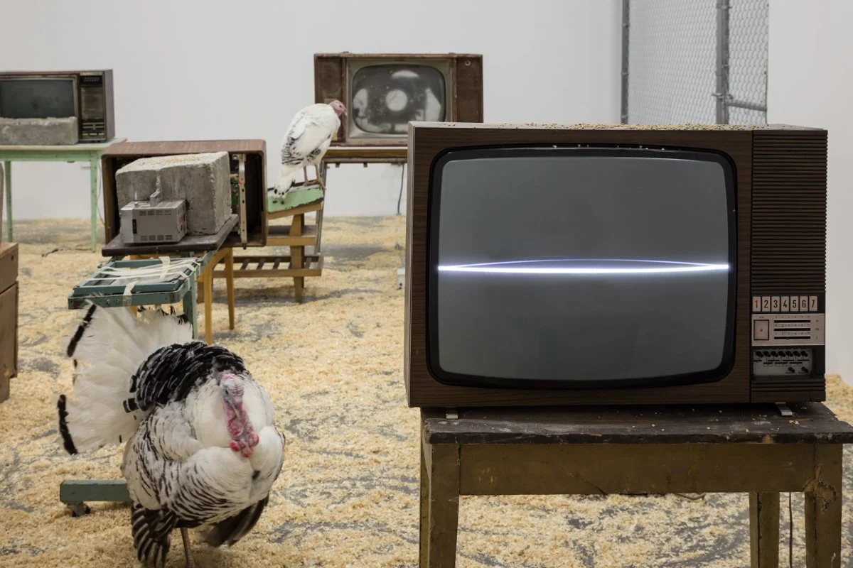   Endogen Depression  Installation View The Box, 2013  Photo: Fredrik Nilsen 
