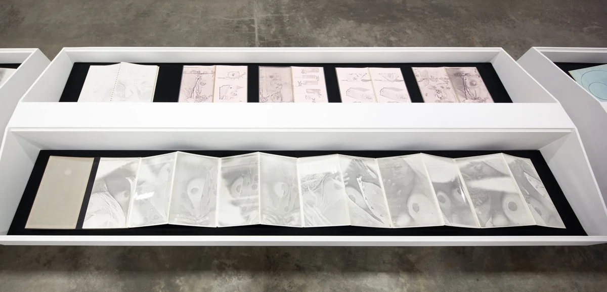  XEROX: Barbara T. Smith 1965-66  Coffins Installation View The Box, 2013  Photo: Fredrik Nilsen 