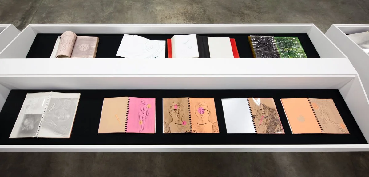   XEROX: Barbara T. Smith 1965-66  Coffins Installation View The Box, 2013  Photo: Fredrik Nilsen 