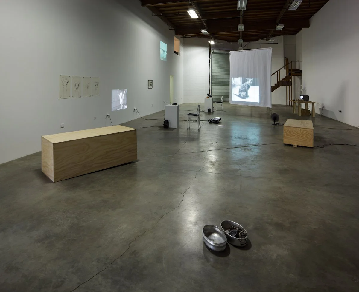   Sounding  Installation View The Box, 2012  Photo: Fredrik Nilsen 