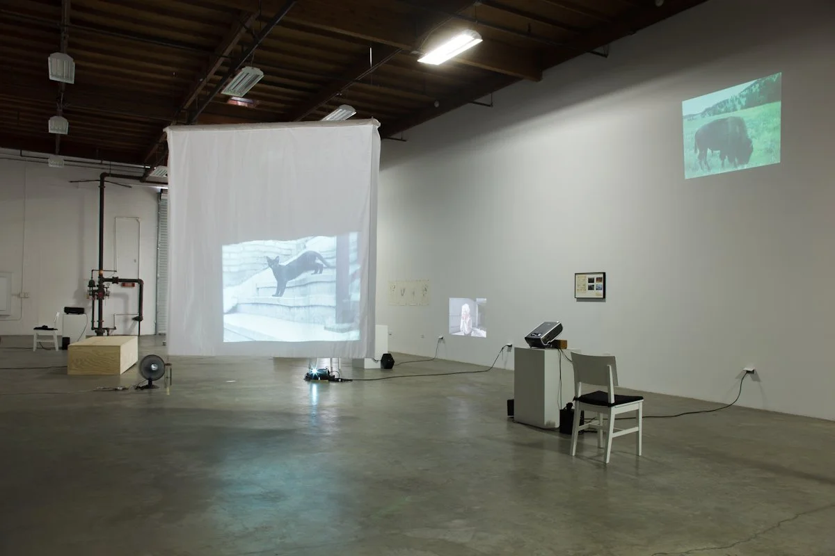   Sounding  Installation View The Box, 2012  Photo: Fredrik Nilsen 