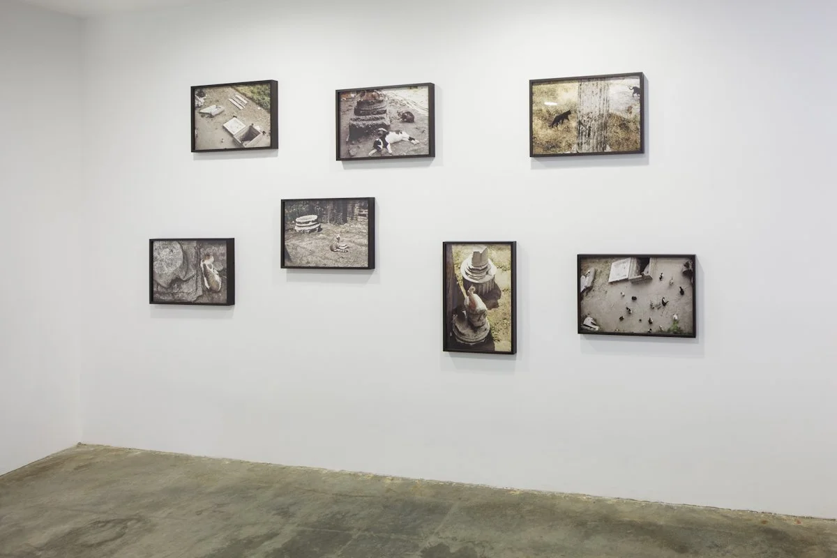  Simone Forti  Largo Argentina (Rome Cats) , 1968/2012 Installation View Photo: Fredrik Nilsen 