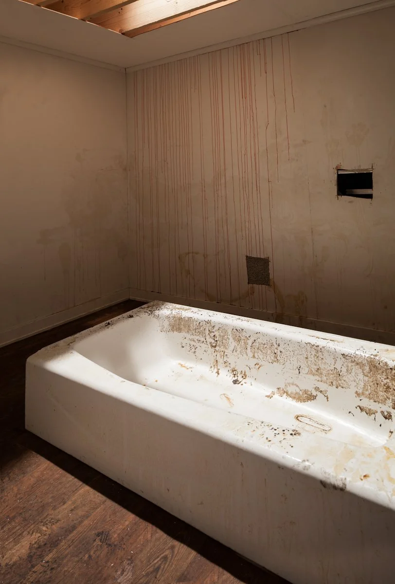   Rebel Dabble Babble  Installation View The Box, 2012  Photo: Fredrik Nilsen 