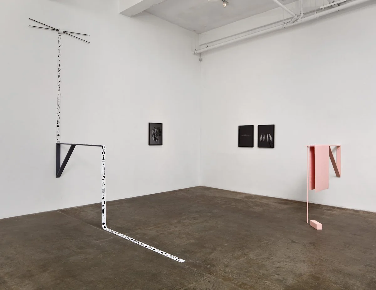  Weird Walks Into A Room 2011 Installation View  Photography © Fredrik Nilsen Studio 