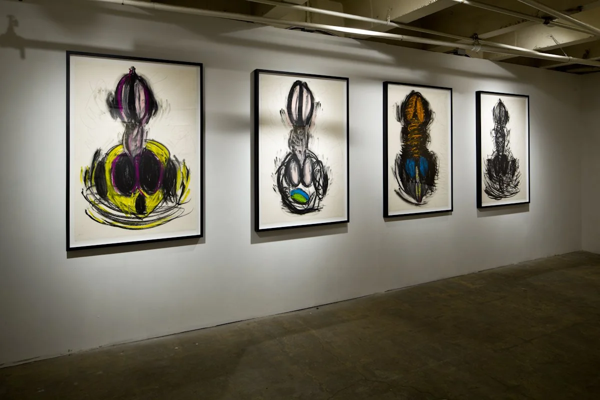  Boner Series 2010 Installation View  Photography © Fredrik Nilsen Studio 