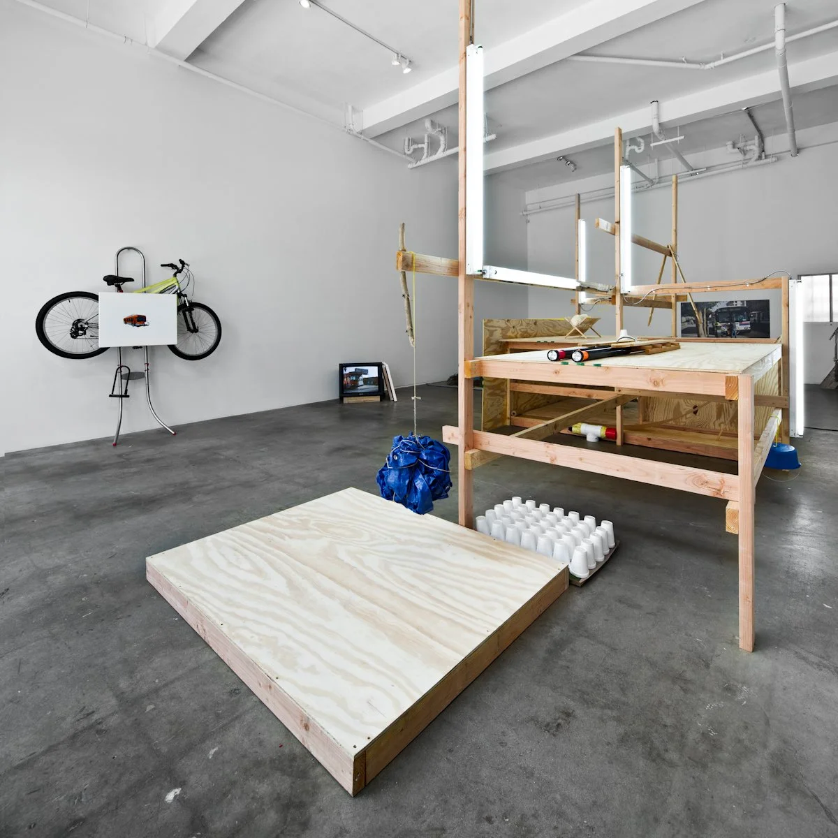  Dog, Bus, Palm Tree, 2011 Installation View  Photography © Fredrik Nilsen Studio 