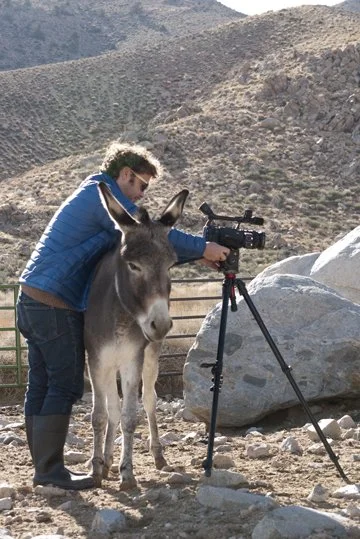  Julien Bismuth The Golden Ass 2010 