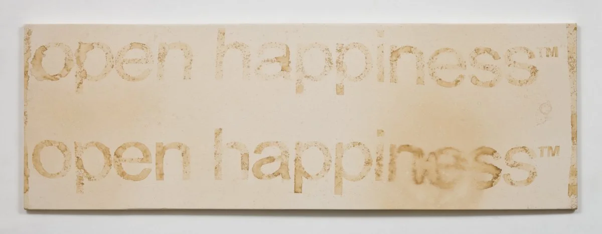  Open Happiness Twice 2010 Photo: Fredrik Nilsen 