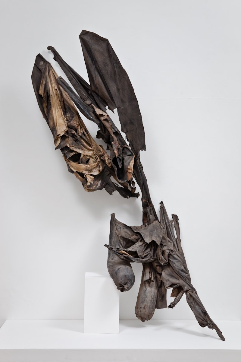  Fallen Angel 1962-63 Photo: Fredrik Nilsen 
