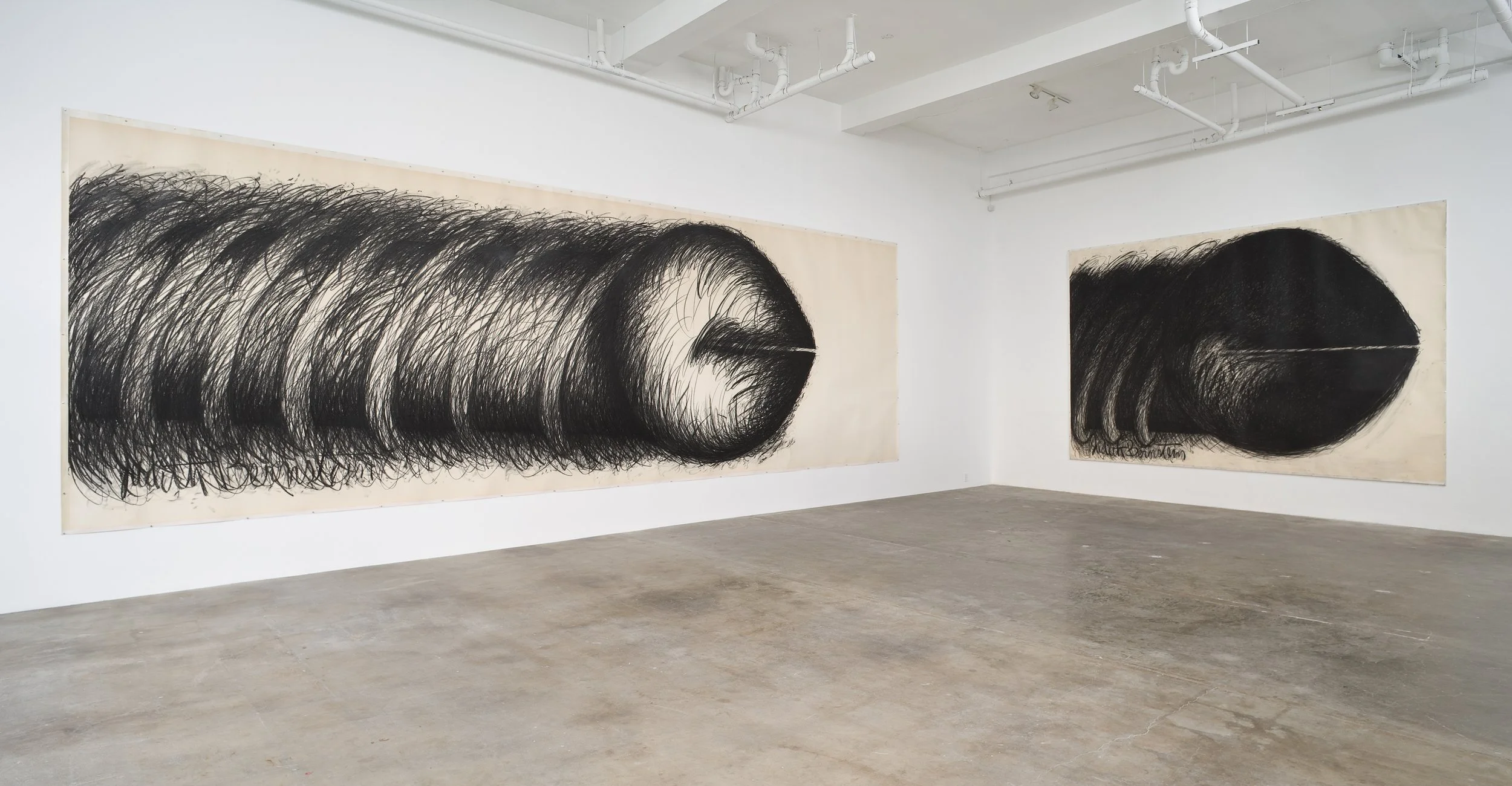  Judith Bernstein 2009 Installation View Photo: Fredrik Nilsen 