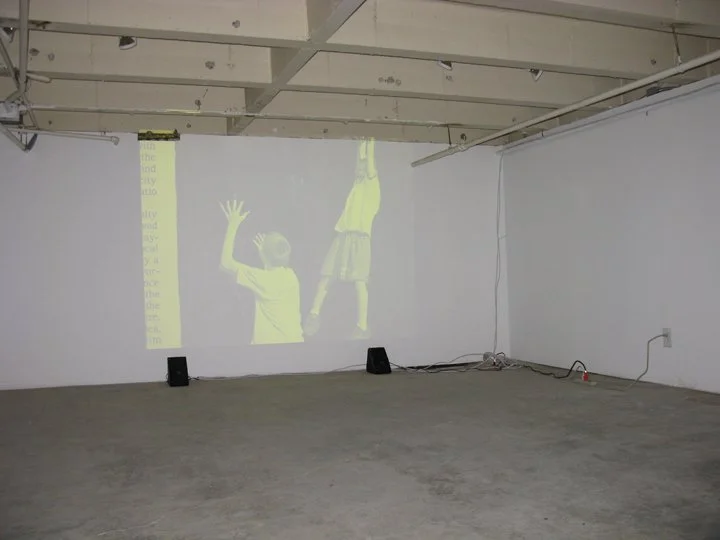  for the birds 2009 installation view  photo: Ann Marie Rounkle 
