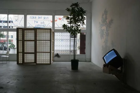  for the birds 2009 installation view  photo: Ann Marie Rounkle 