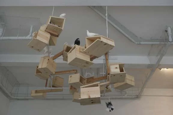  for the birds 2009 installation view  photo: Ann Marie Rounkle 