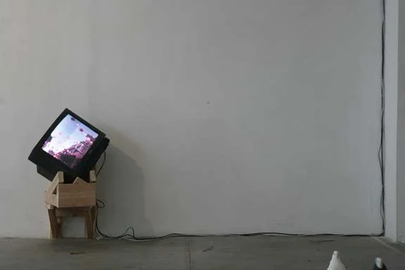  for the birds 2009 installation view  photo: Ann Marie Rounkle 