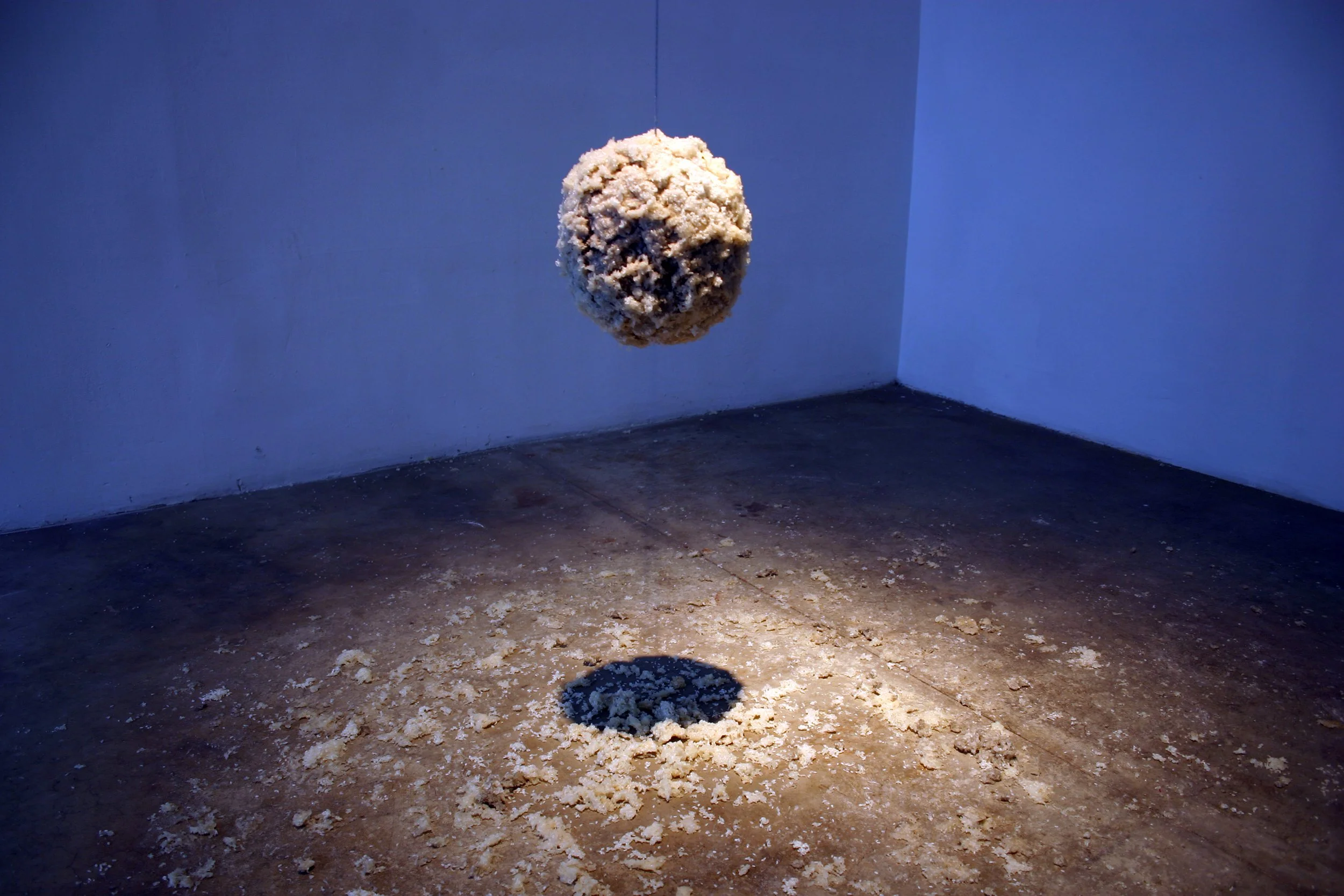  It on It (Skinny Wire Neck) 2008 Photo: Naotaka Hiro 