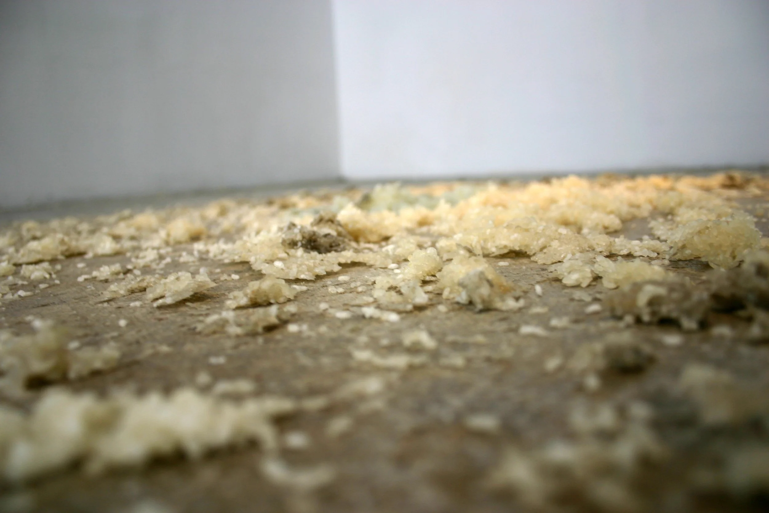  It on It (Skinny Wire Neck) 2008 Detail View Photo: Naotaka Hiro 