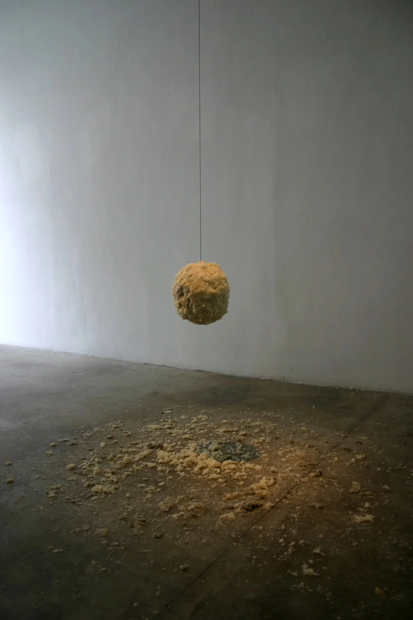  It on It (Skinny Wire Neck) 2008 Photo: Naotaka Hiro 