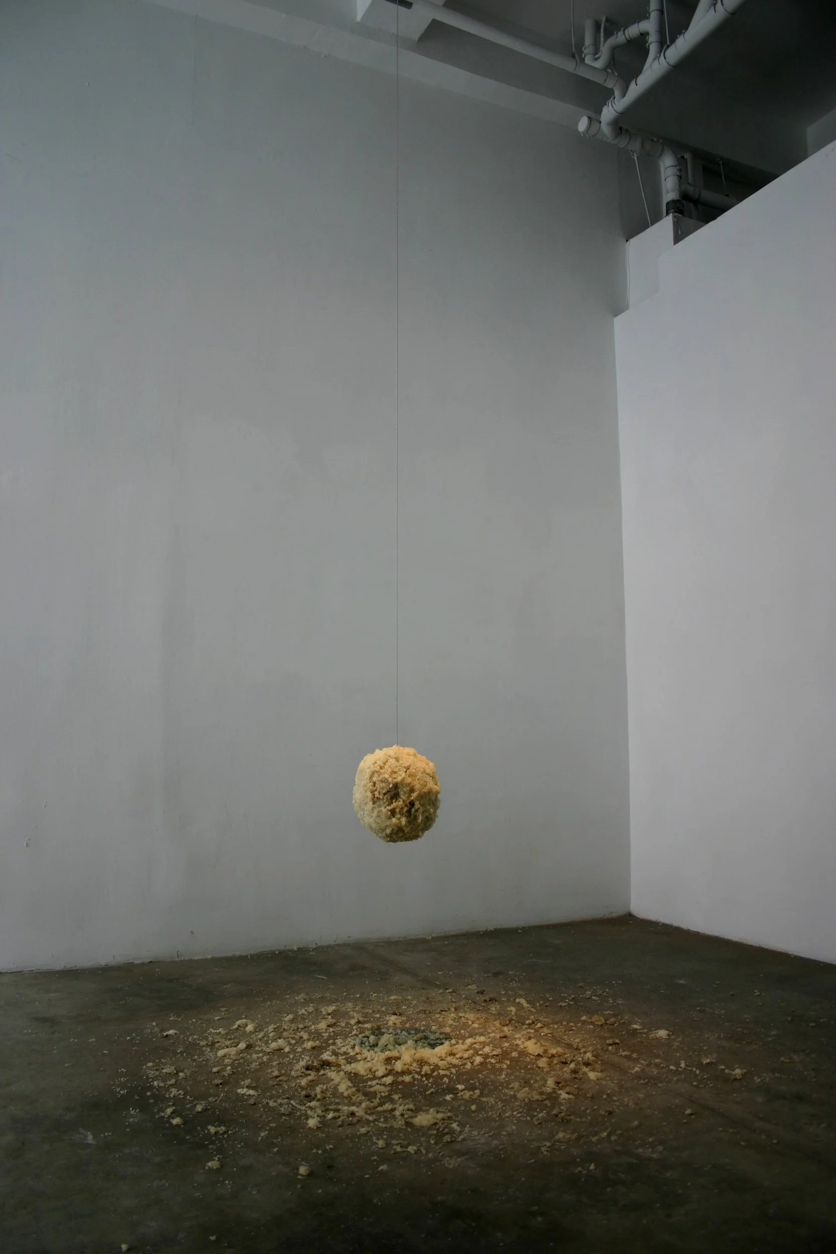 It on It (Skinny Wire Neck) 2008 Photo: Naotaka Hiro 