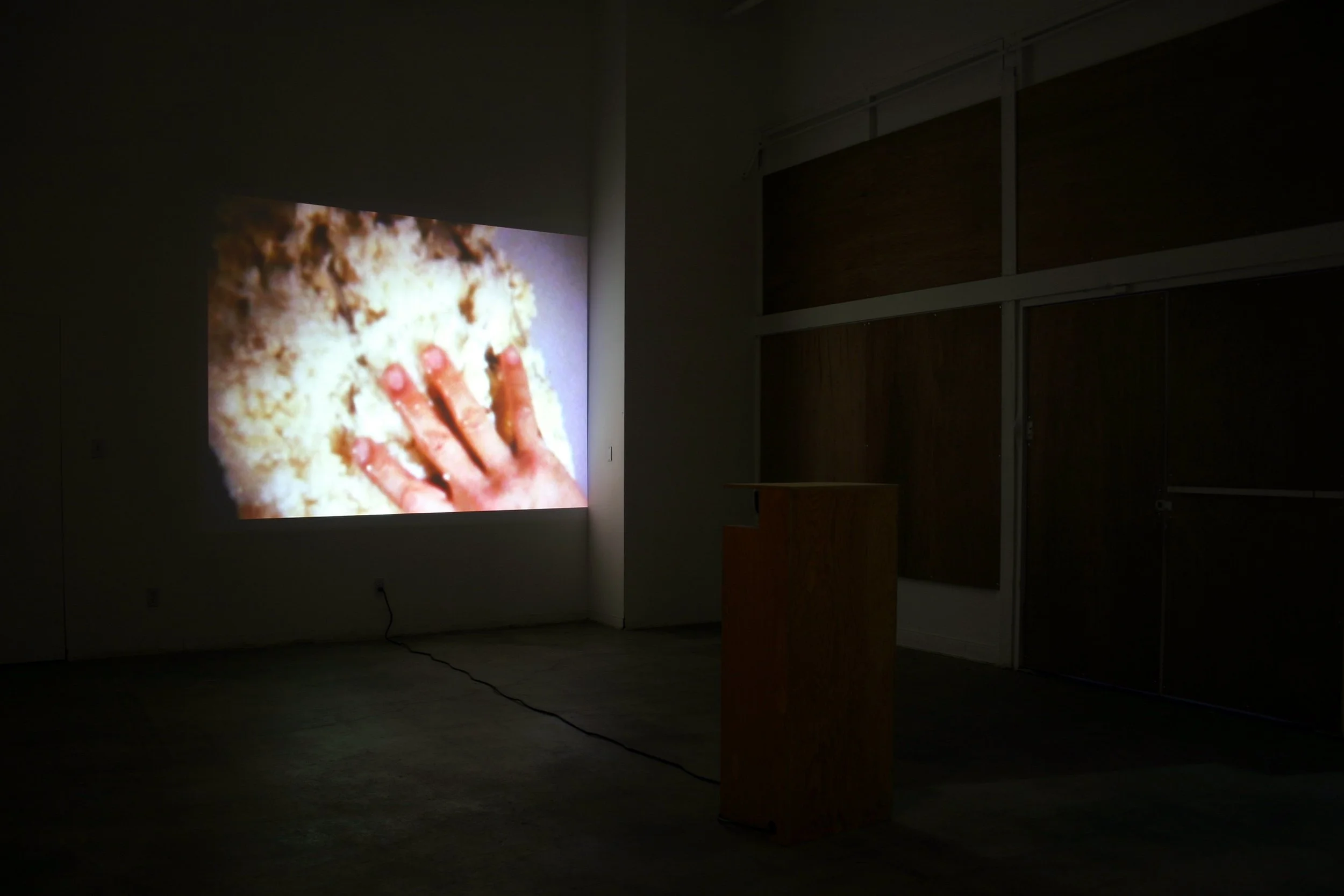  Night and Fog, Two Penises 2008 Photo: Naotaka Hiro 