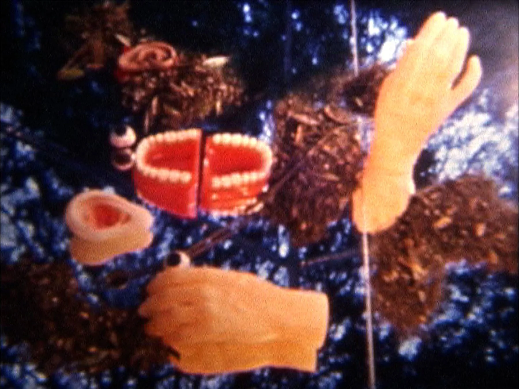  Night and Fog, Two Penises 2008 Photo: Naotaka Hiro 