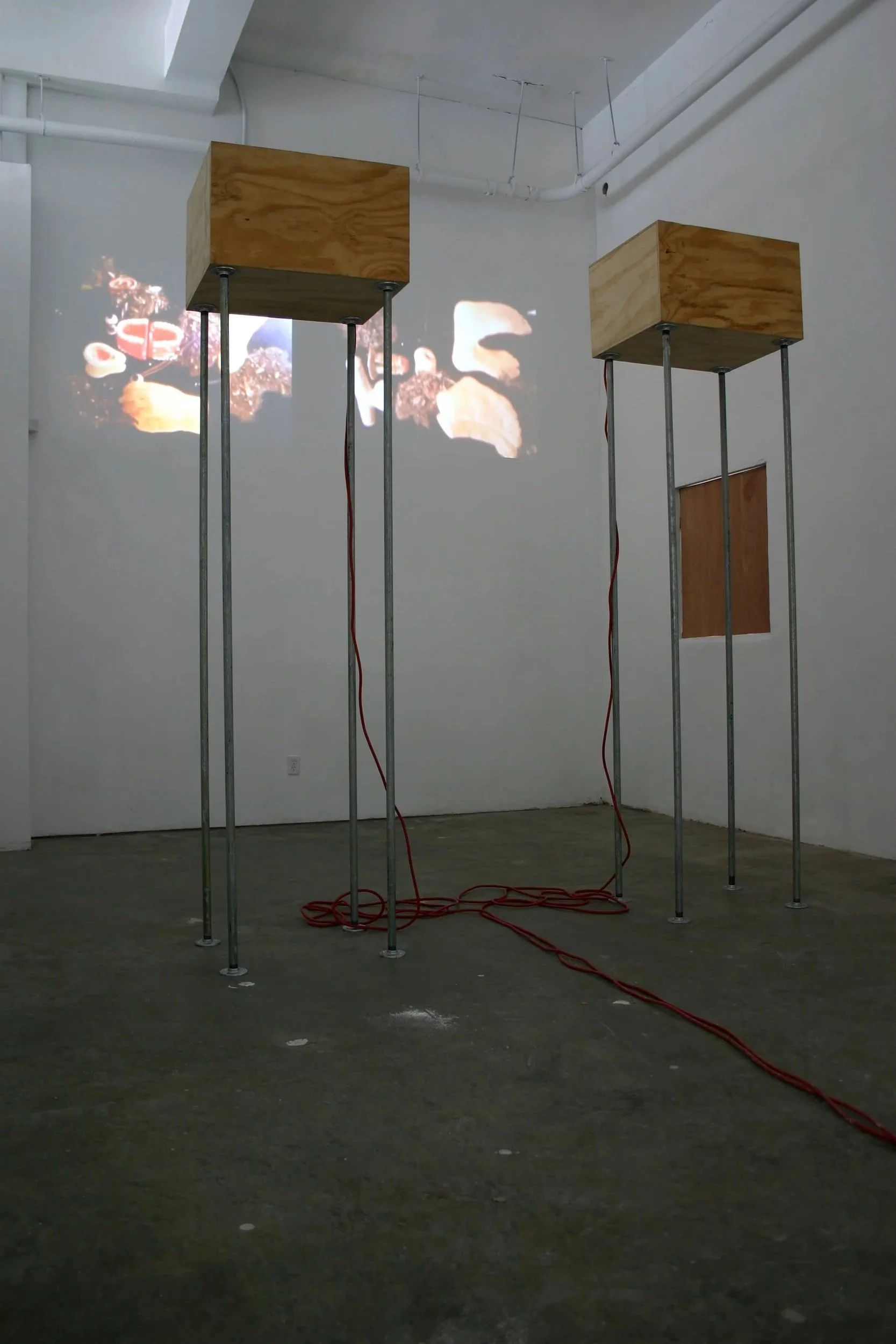  Night and Fog, Two Penises 2008 Installation View Photo: Naotaka Hiro 