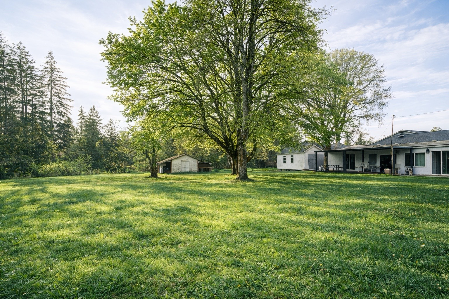 一个后院里有一棵大树、一个小棚屋和一栋带门廊的房子，四周环绕着绿草和树木，天空部分多云。