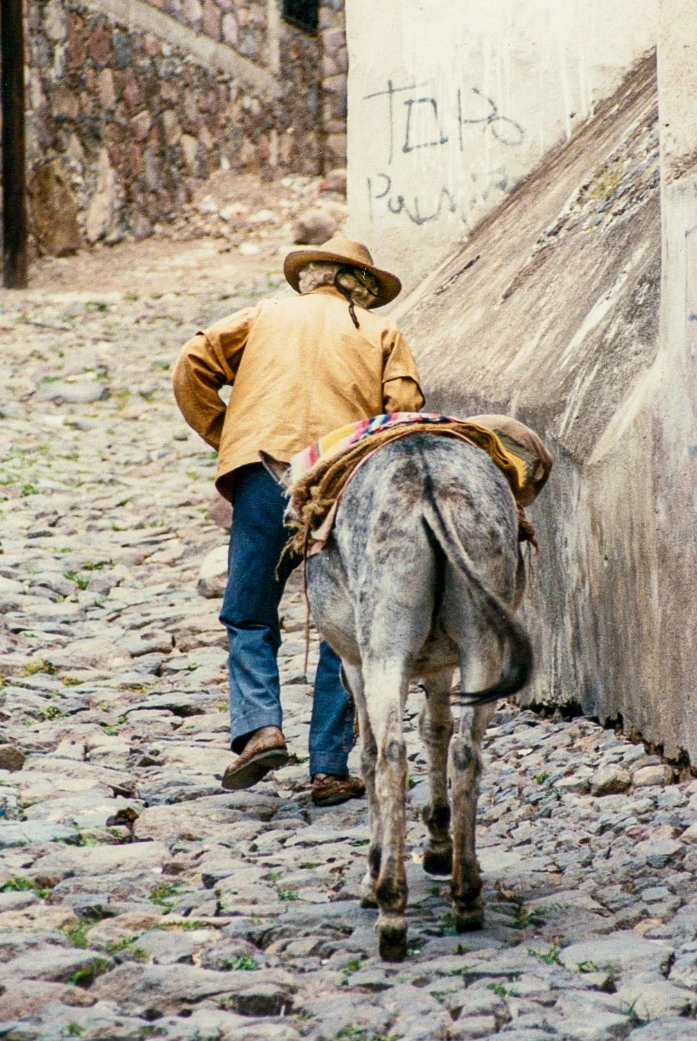 466358_0001_269.jpg