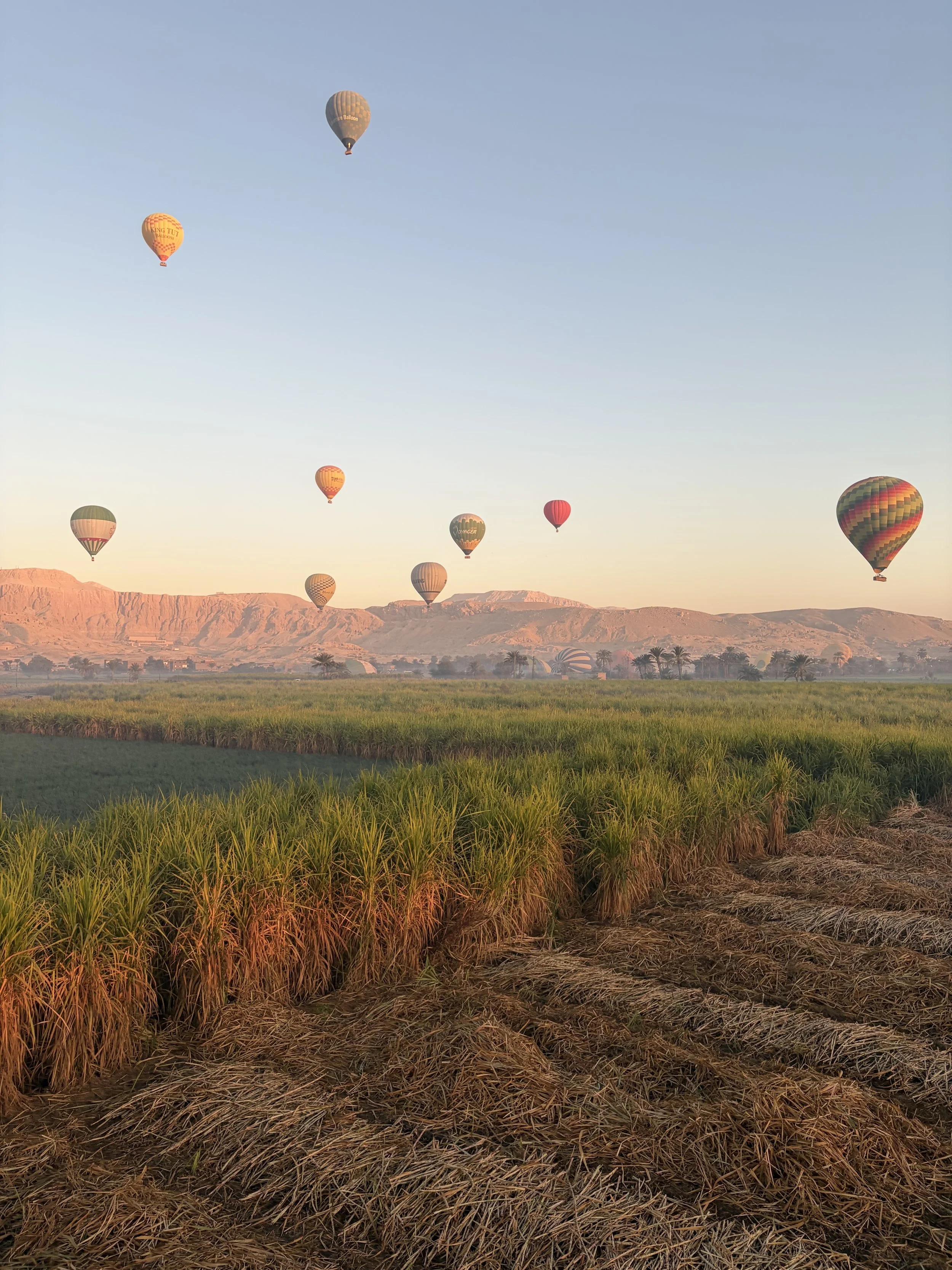 Sunrise Hot Air Balloon Over the Nile Valley