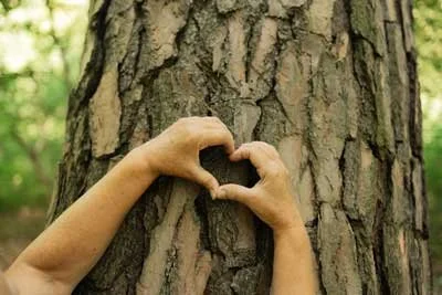 Tribute Tree