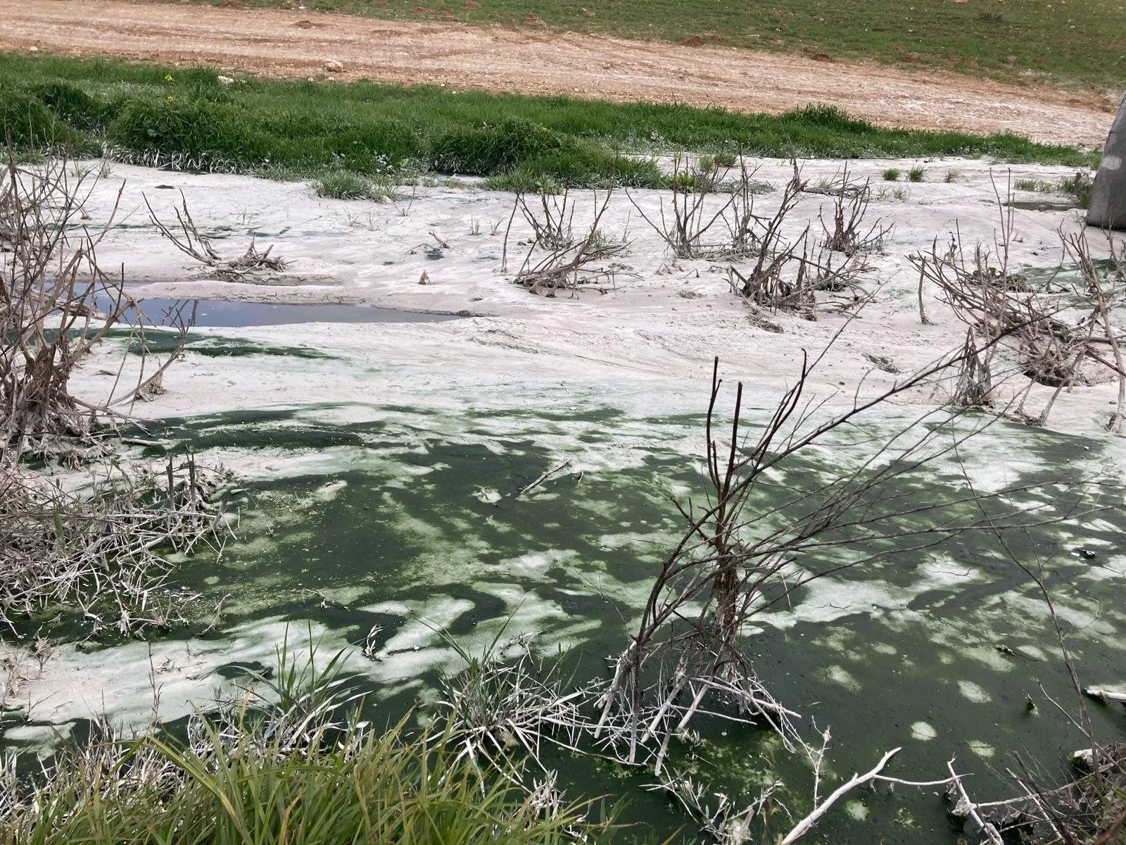 Visiting a Palestinian Shepherd named Bassam and Toxic Waste on His Land near An-Nizan - 11.jpg