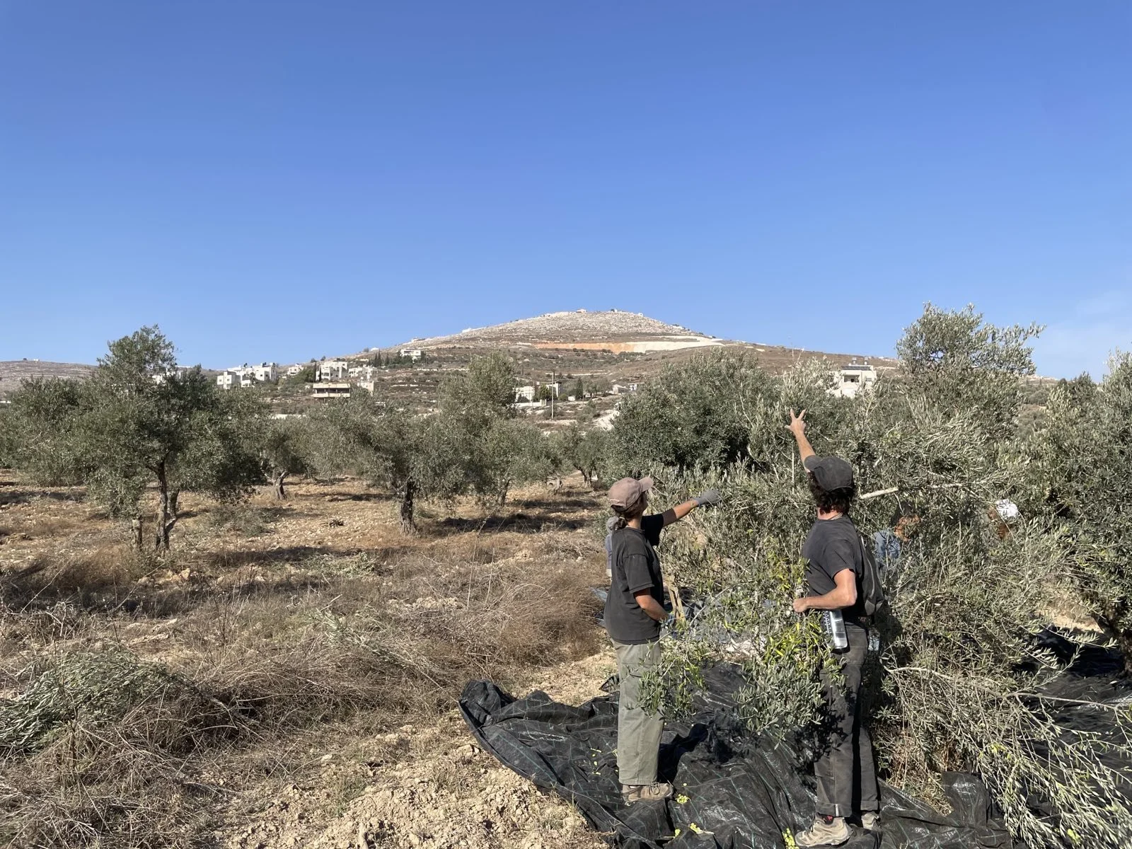 Givat-Ronen-in-background.jpeg