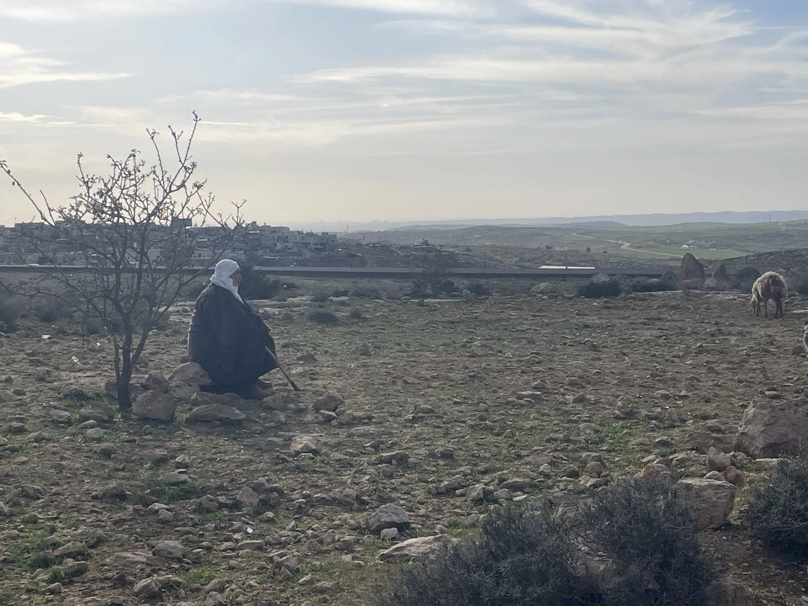 A Palestinian shepherd in Haribat al-Nabi.jpg