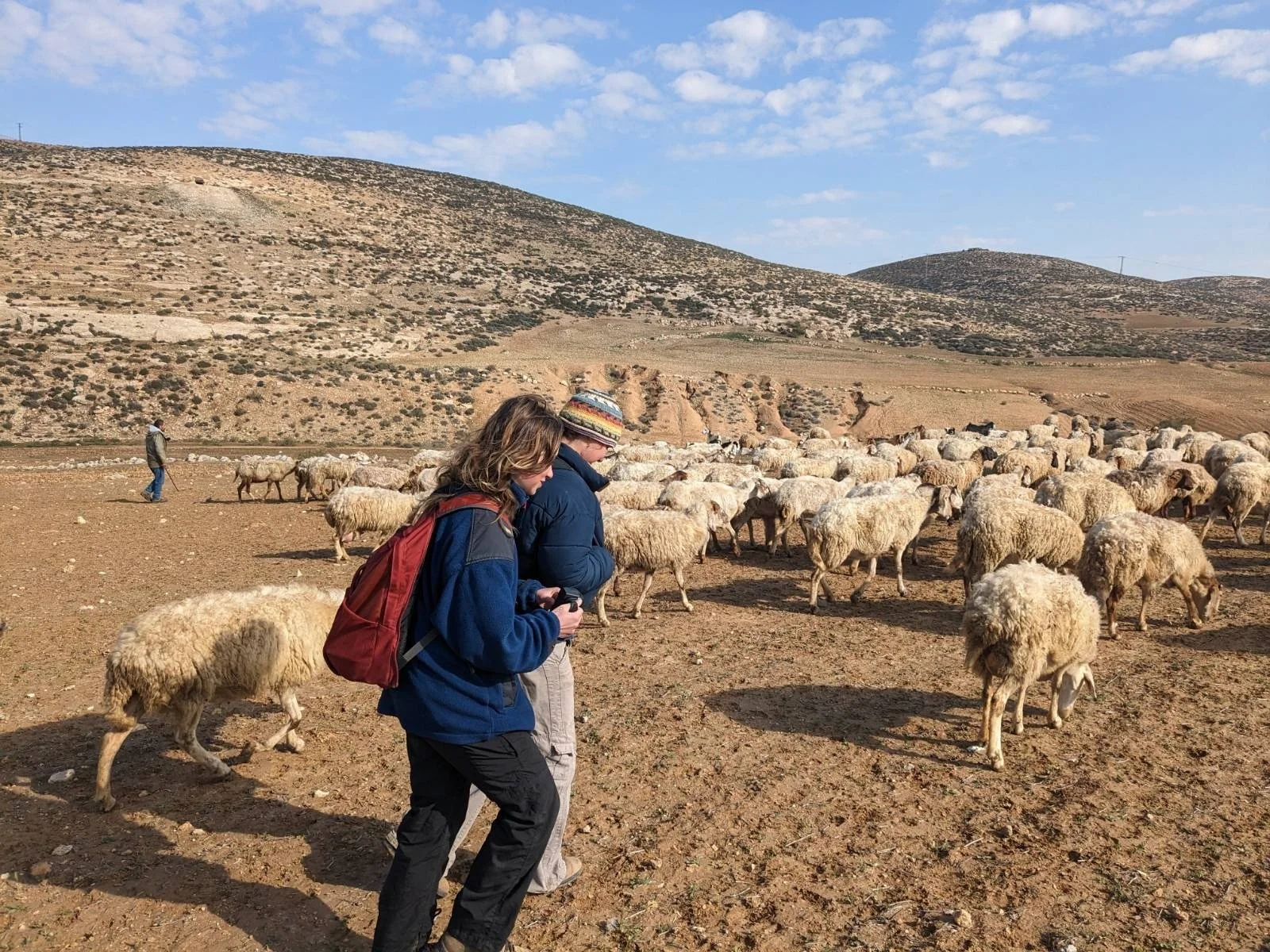 Shepherding in Widade - 6.jpg