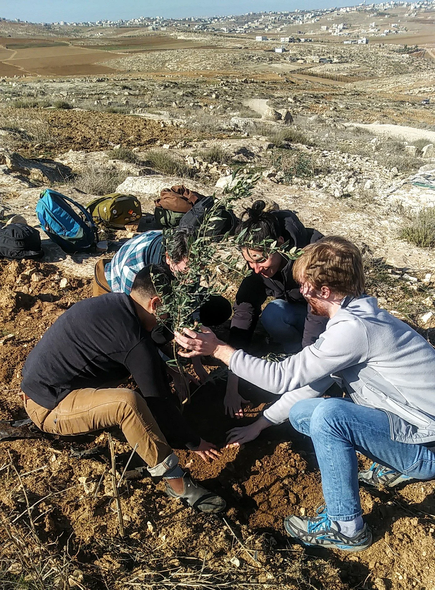 A-Tuwani-CJNV-planting.jpg