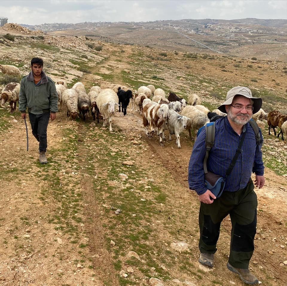 shepherding.jpeg