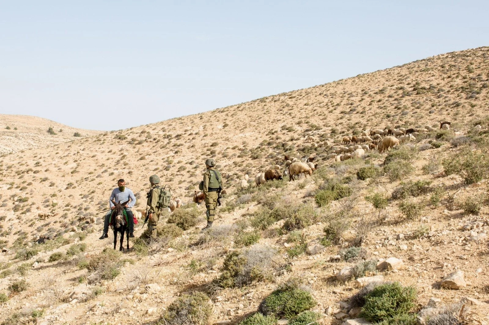 Confronting-IDF-in-Field-Hineinu.jpeg