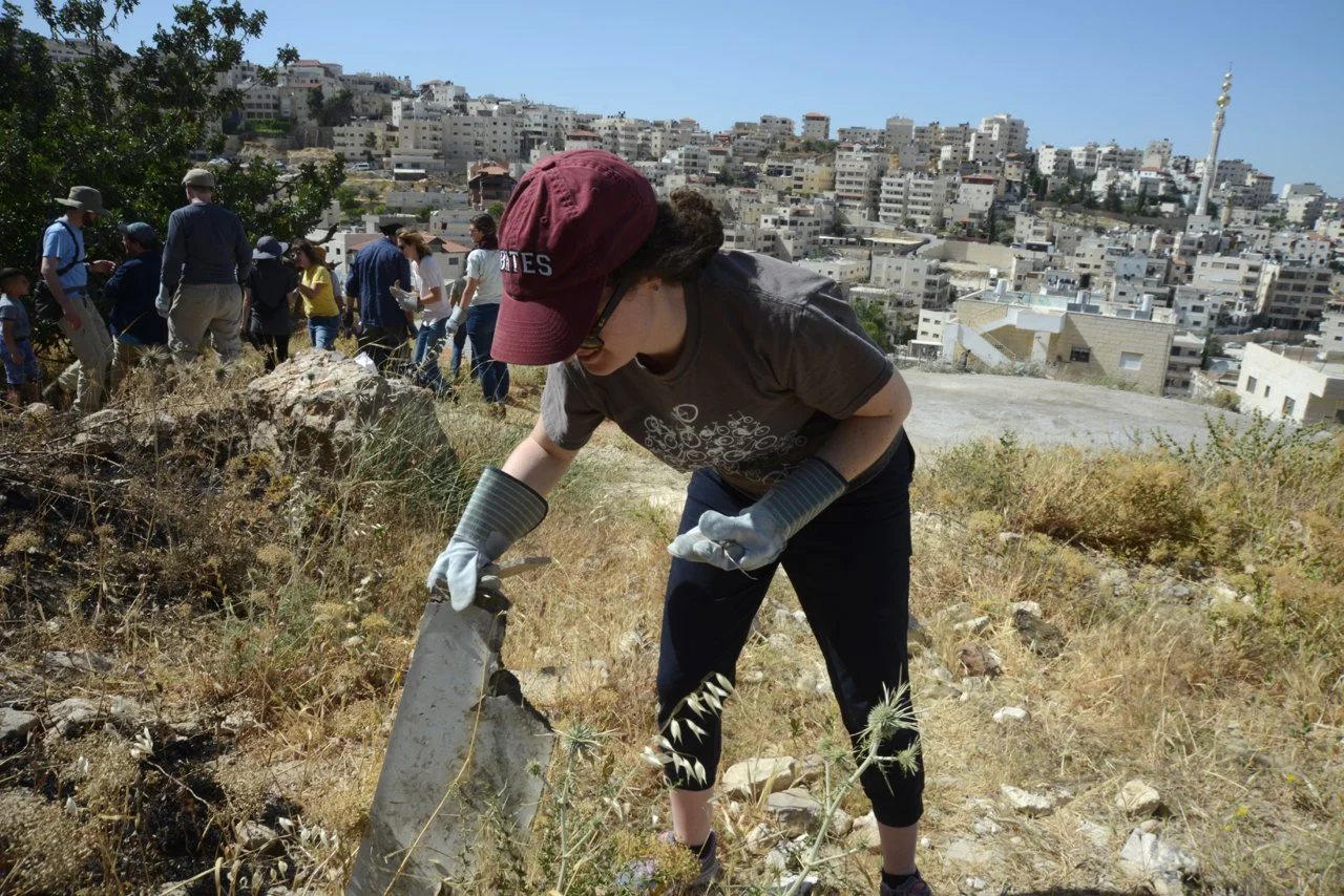 Woman planting a seedling with gloves on in a dry, rocky area, with a group of people working and a cityscape in the background.