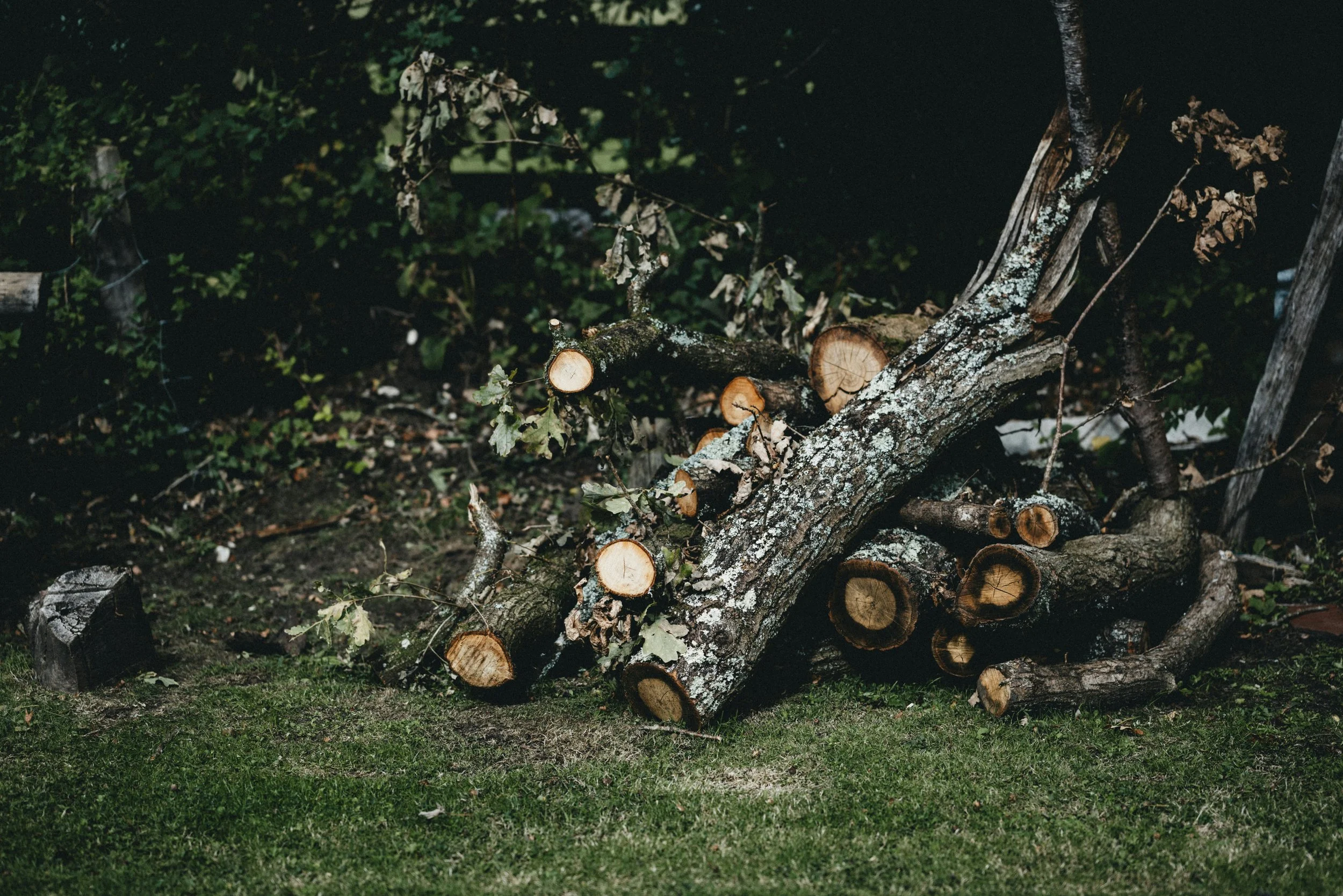 A pile of cut tree logs and branches on the ground in a site.