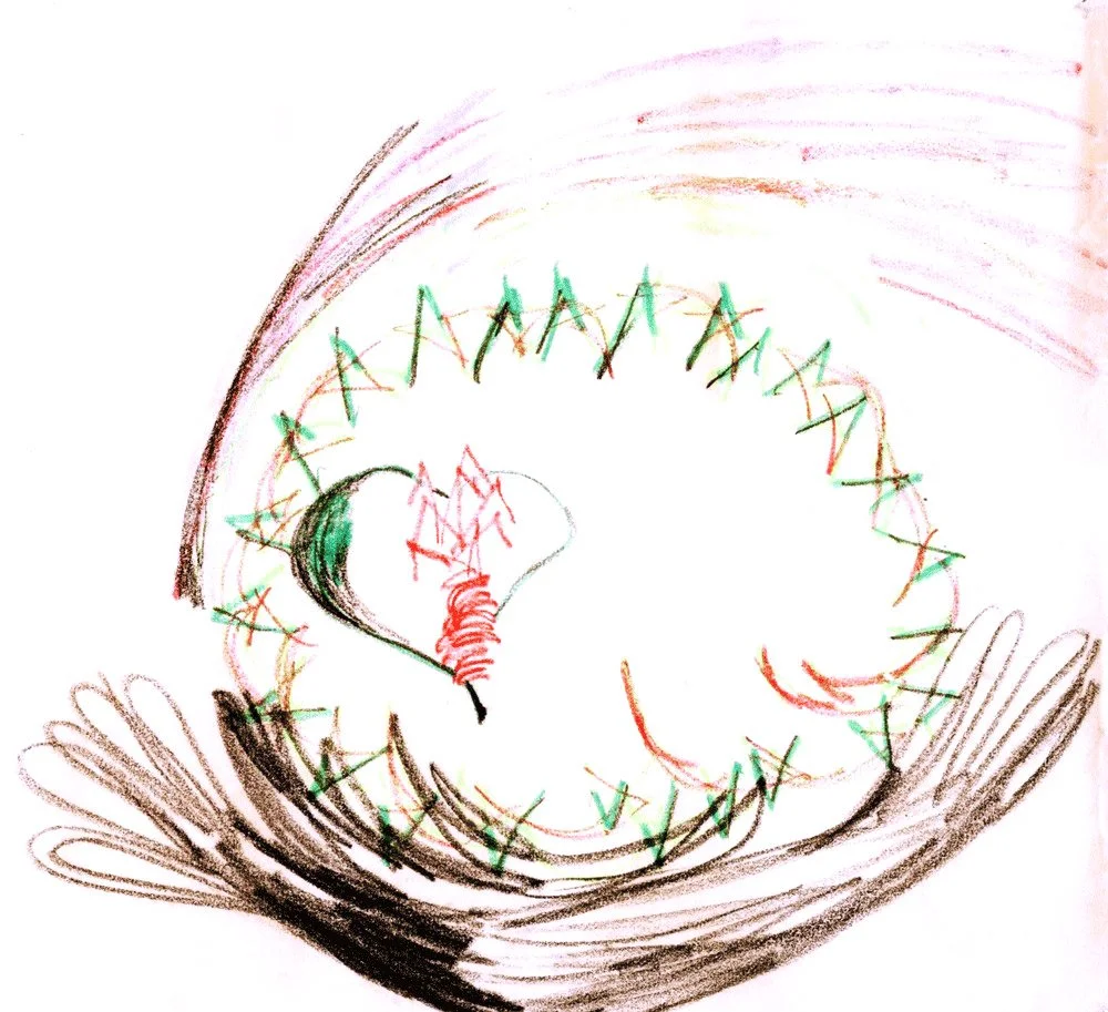 Image 7: Reciprocity