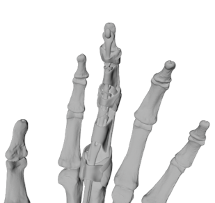 Picture3.png