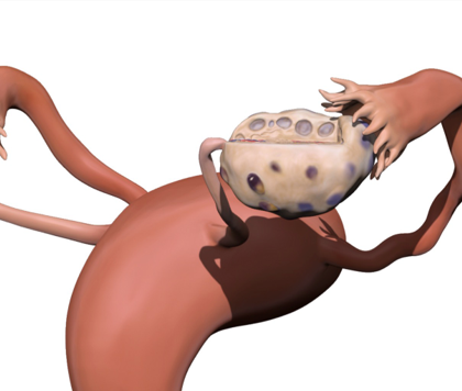 Picture6.png