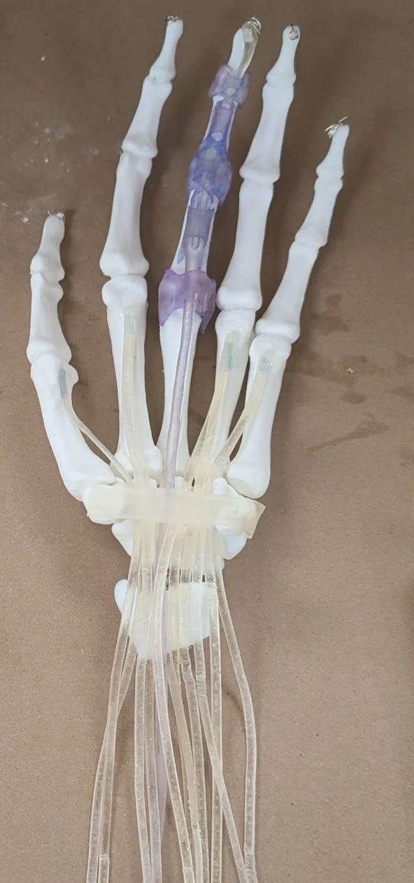 3D printed wrist and hand (portion of a full arm simulation model for teaching 4th year medical students how to repair zone 2 tendon lacerations and distal Colles fractures of the radius). 


