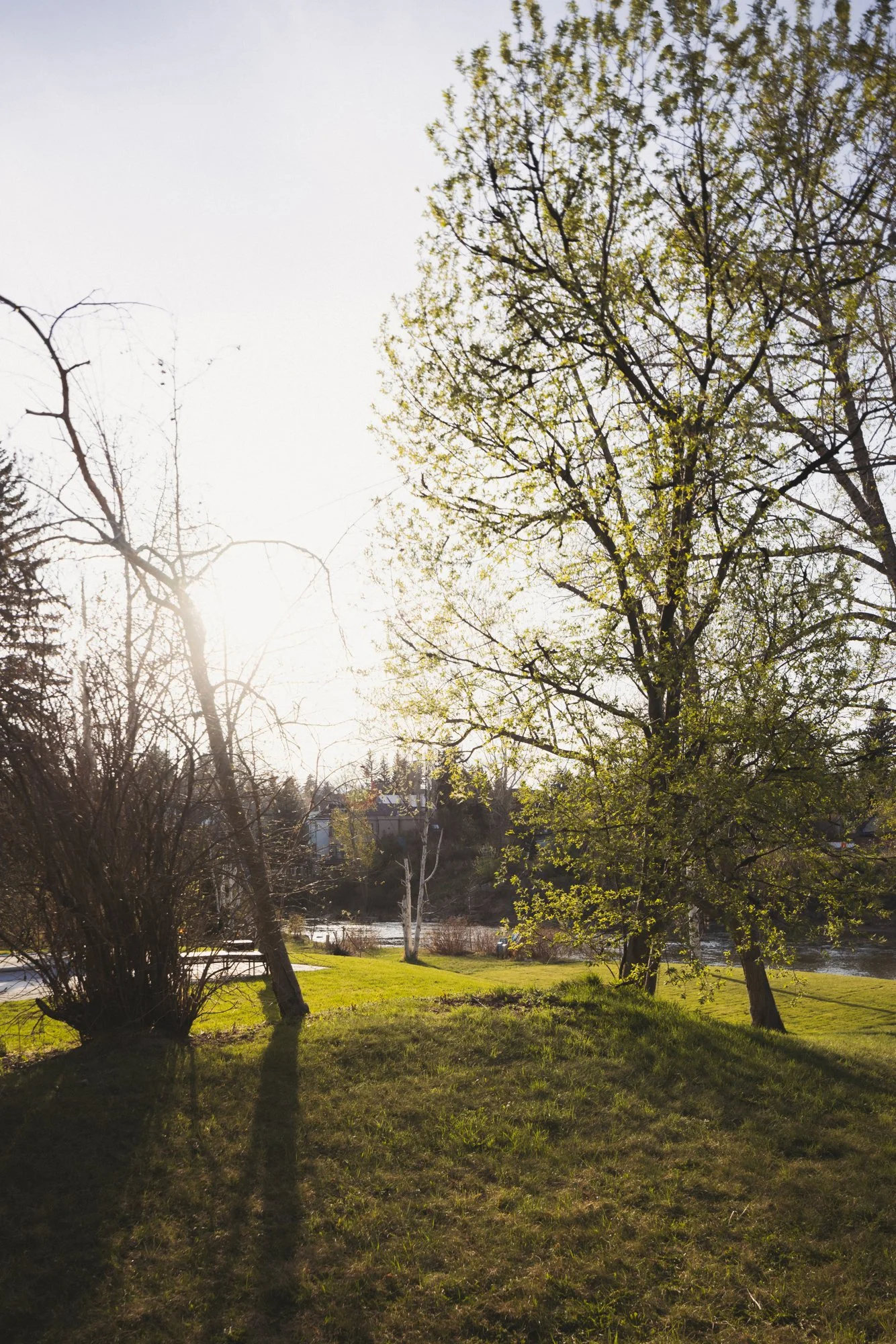 1132 Riverdale_24_web.jpg