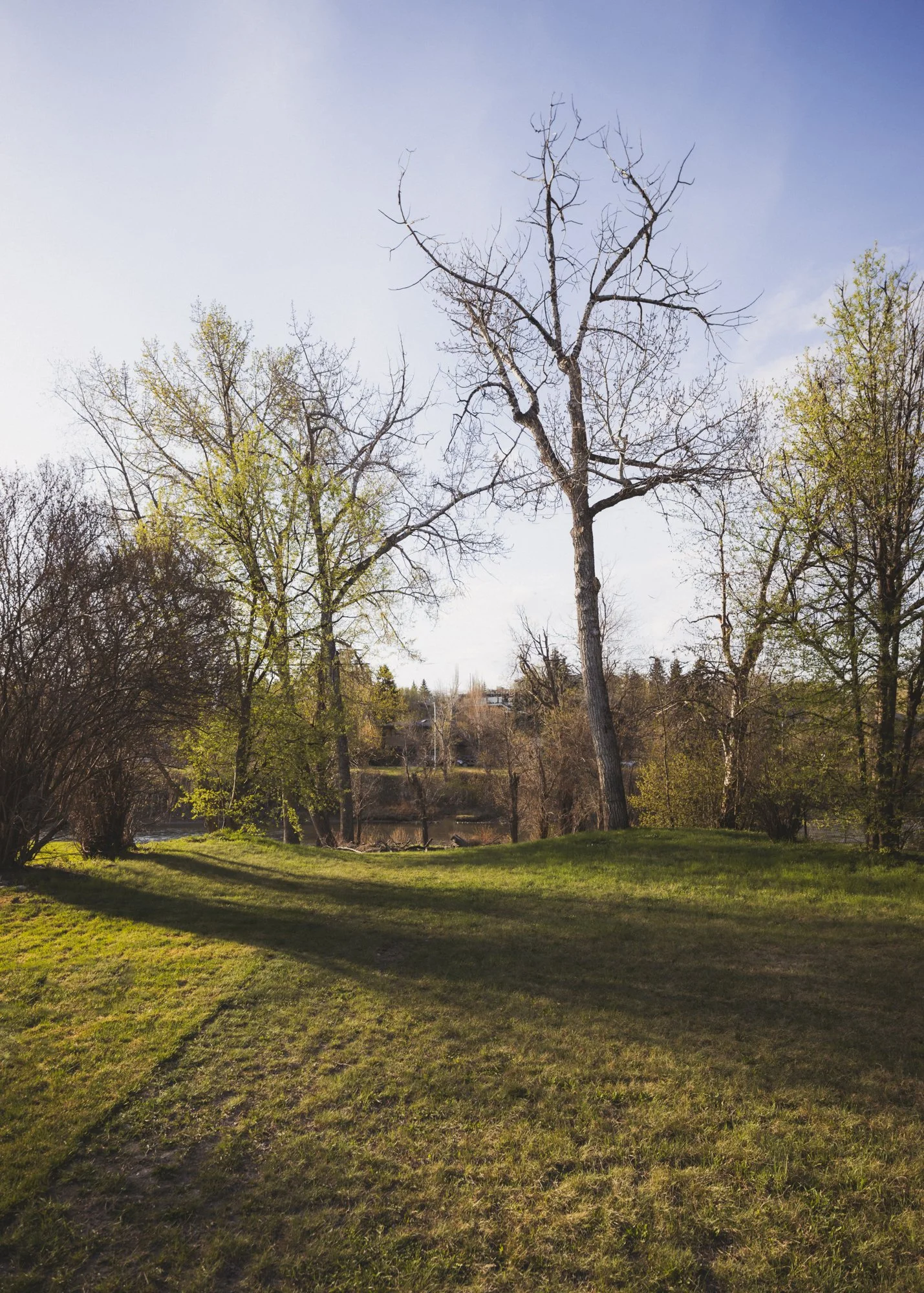 1132 Riverdale_22_web.jpg