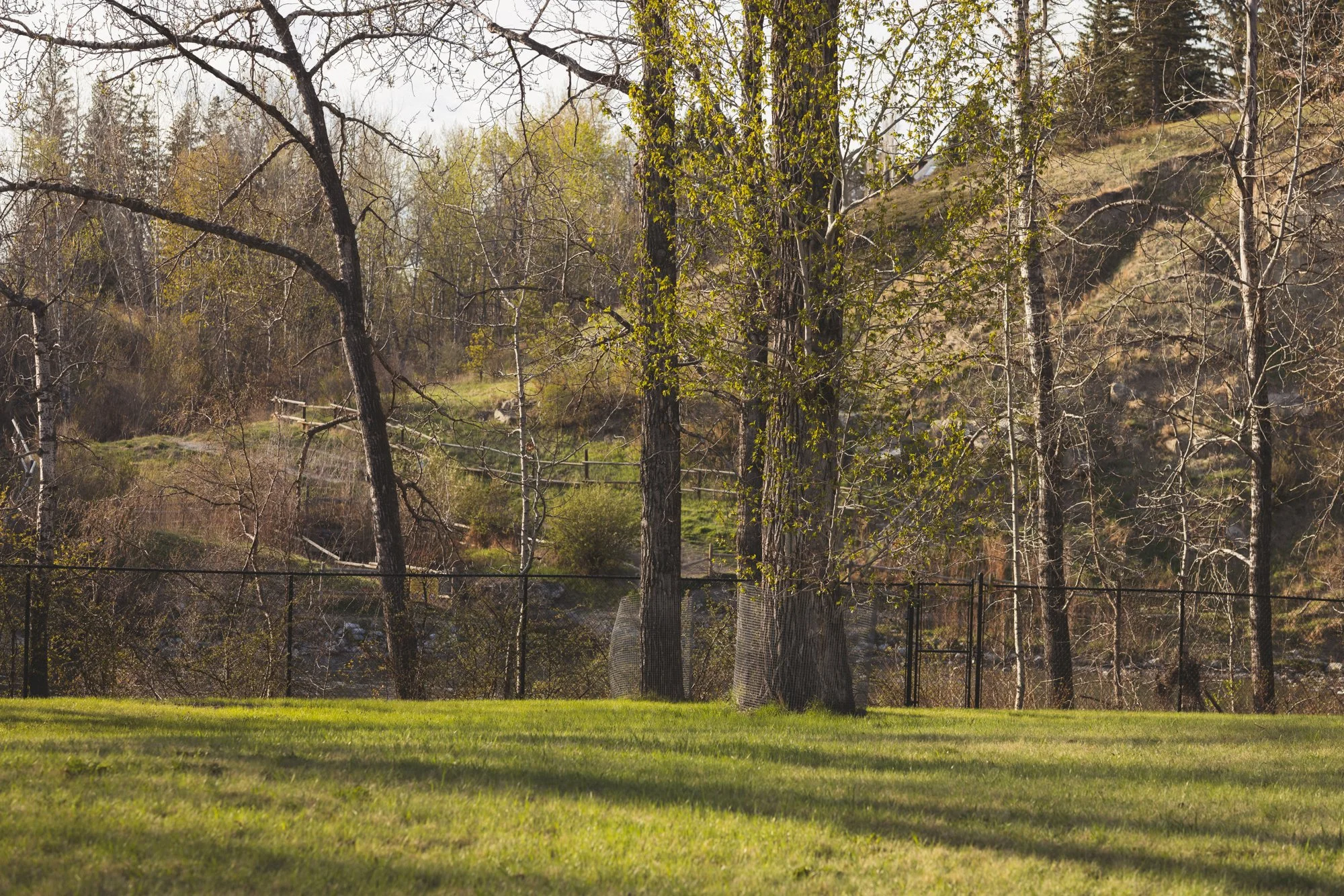 1334 Riverdale_10_web.jpg